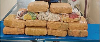 கஞ்சா வழக்குகளில் தொடர்புடைய 813 வங்கிக் கணக்குகள் முடக்கம்