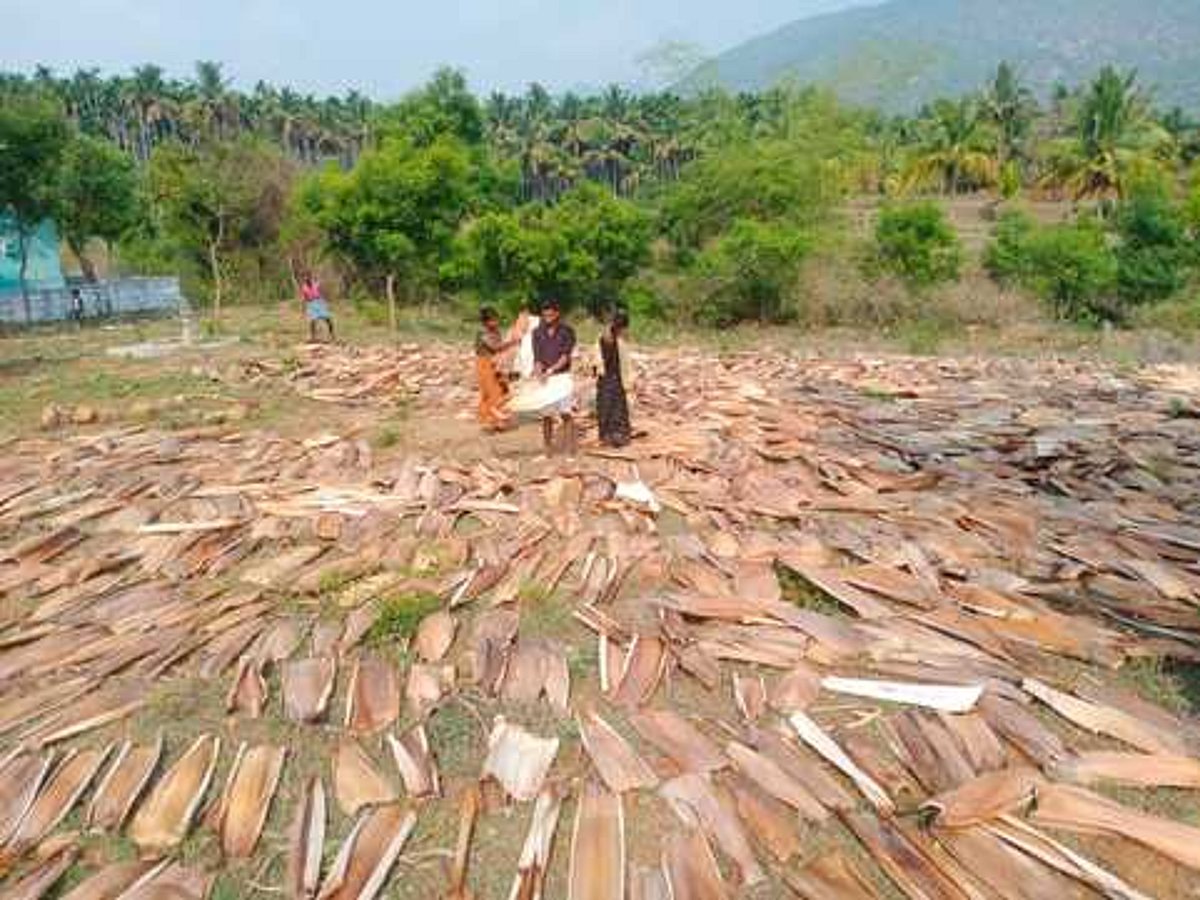 கரோனா தொற்றால் நலிவடைந்த சிறுதொழில்: புத்துயிா் பெறுகிறது பாக்குமட்டைத் தட்டு உற்பத்தி