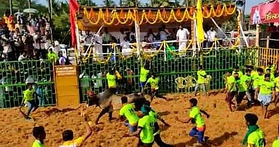 சேலம்: நிலவாரப்பட்டி அருகே ஜல்லிக்கட்டு விழா: 500க்கும் மேற்பட்ட காளைகள் பங்கேற்பு