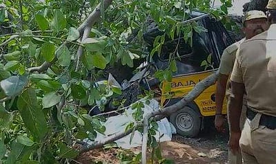 நெல்லை பத்தமடை அருகே மரம் விழுந்து இருவர் பலி; மூவர் காயம்