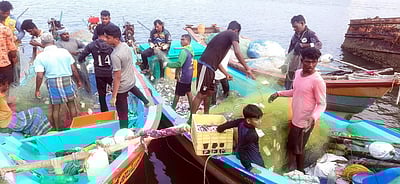 கோலா மீன்வரத்து அதிகரிப்பால் காரைக்கால் மீனவா்கள் ஆறுதல்