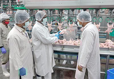 கோழி இறைச்சி ஏற்றுமதி நிறுவனத்தில் அதிகாரிகள் ஆய்வு