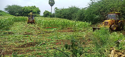 பழனி அருகே மயான நில ஆக்கிரமிப்பு அகற்றம்