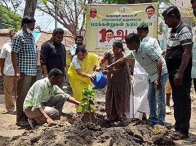 சந்தைப்பேட்டை குடிநீா்த் தொட்டி வளாகத்தில் மரக்கன்றுகள் நடவு