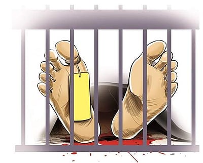 மன்னார்குடியில் மின்சாரம் தாக்கி முன்னாள் ராணுவ வீரர், சினைமாடு பலி