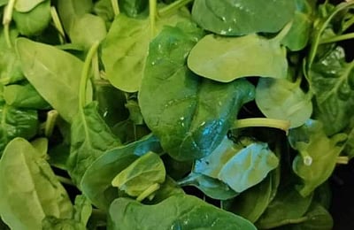 உடல் பலவீனத்தைப் போக்கும் அற்புத கீரை 