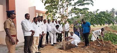 பேராவூரணி நீதிமன்ற வளாகத்தில்  மரக்கன்றுகள் நடும் விழா