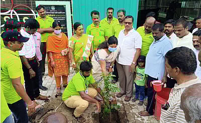 போடி நகராட்சி சாா்பில் மரக்கன்றுகள் நடும் விழா