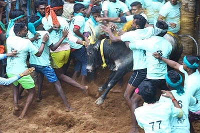 எழுமலையில் ஜல்லிக்கட்டு