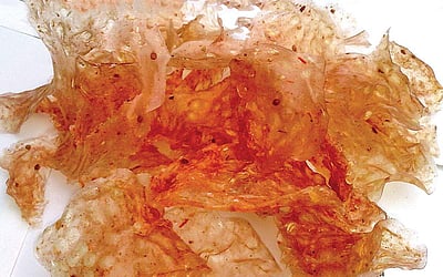 சிவப்பரிசி வடாம்