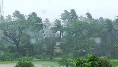 மெக்சிகோவை தாக்கிய சூறாவளி: 10 பேர் பலி