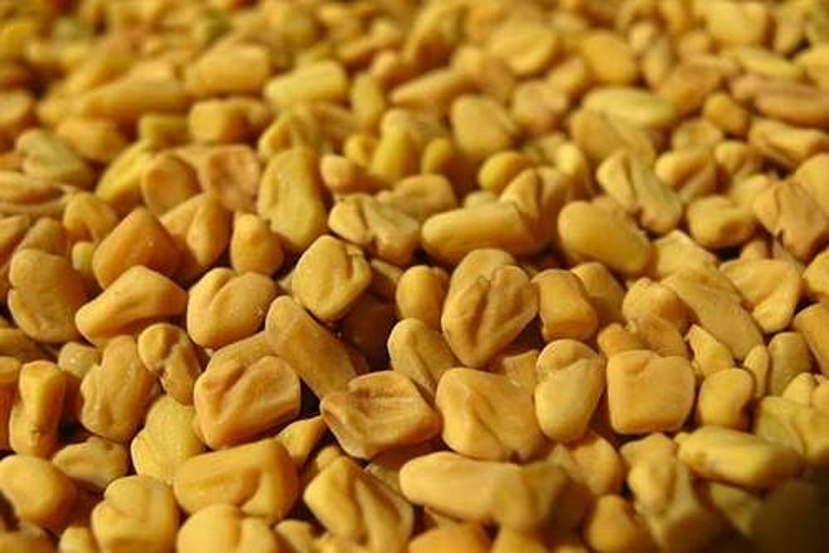 சுகம் தரும் சித்த மருத்துவம்: ‘வெந்தயம்’ பித்தப்பை கல் பிரச்னைக்கு தீர்வு தருமா?