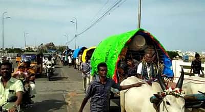 தொடரும் பாரம்பரியம்: மாட்டுவண்டிகளில் ஸ்ரீரங்கம் வந்த காவல்காரன்பட்டி கிராம மக்கள்