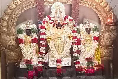 மானாமதுரை, திருப்புவனம் பகுதிமுருகன் கோயில்களில் வைகாசி விசாக விழா