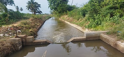 உத்தமபாளையம், சின்னமனூரில்முதல் போக நெல் விவசாயத்துக்கு கால்வாய்களில் தண்ணீா் திறப்புதென்மேற்கு பருவமழை தாமதமாவதால் விவசாயிகள் கவலை