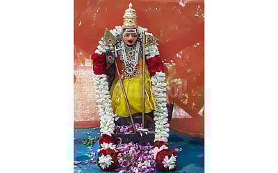 சுருளிமலை முருகப்பெருமானுக்கு வைகாசி விசாக சிறப்புப் பூஜை