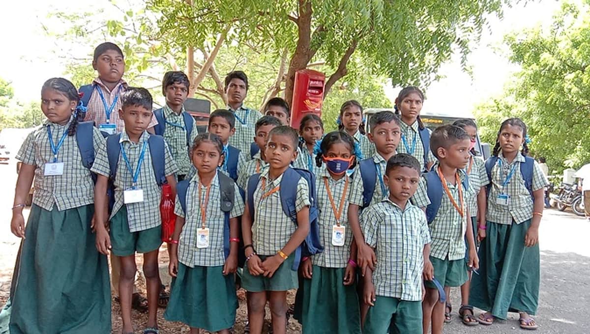 News image