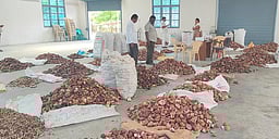 பெருந்துறையில் ரூ. 2.10 கோடிக்கு கொப்பரை ஏலம்