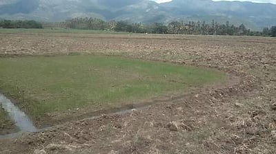 கம்பம் பகுதியில் முதல் போக சாகுபடிக்கு  விதைத்த நெல் முளைக்காதலால் விவசாயிகள் அதிர்ச்சி