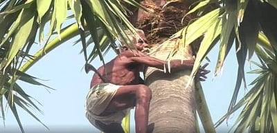 90 வயதில் மனைவியை காப்பாற்ற பனை மரம் ஏறி உழைத்து சாப்பிடும் துரைப்பாண்டி தாத்தா