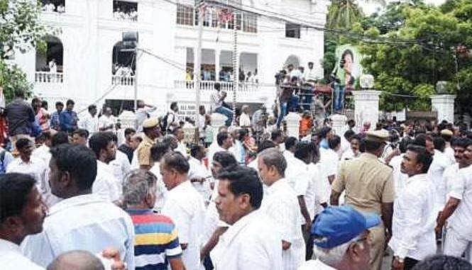 News image