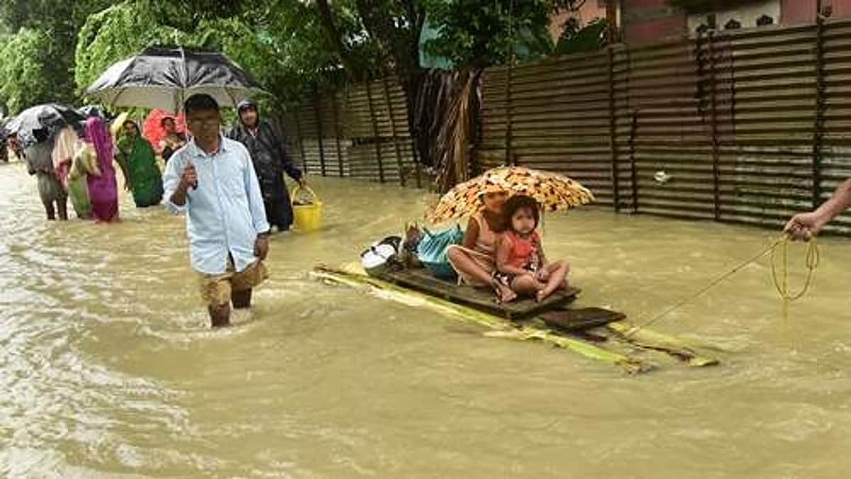 News image