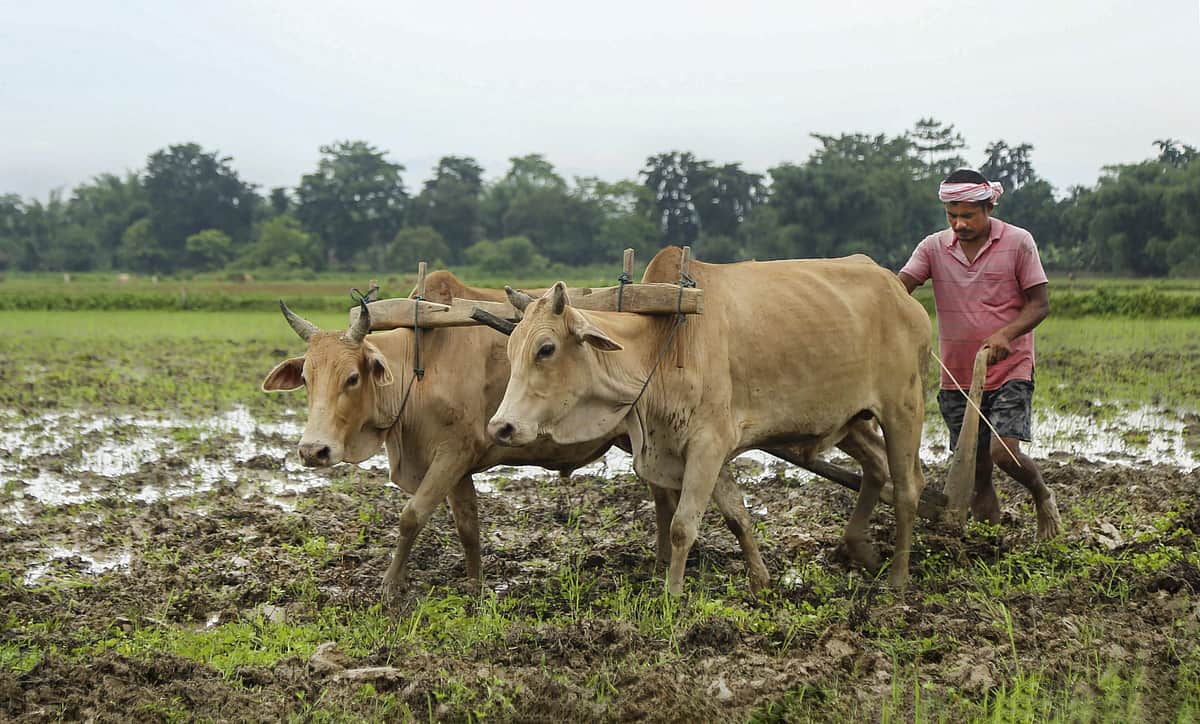 இப்படியானால் எப்படி? | விவசாயிகளுக்கான மானியத் திட்டம் குறித்த தலையங்கம்