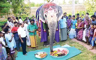 ஹாப்பி பர்த் டே டூ அகிலா...!