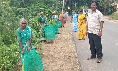 அம்பலூா்-புத்துக்கோயில் சாலையில் மரக்கன்றுகள் பராமரிப்புப் பணி