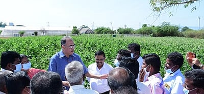 இந்தோ-இஸ்ரேல் மகத்துவ மையங்கள் மூலம் விவசாயிகளுக்கு சந்தை வாய்ப்புகள்மத்திய வேளாண் கூடுதல் செயலா் தகவல்