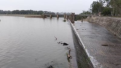 சிக்கோலா அணை நிரம்பியது: உபரி நீா் திறப்பு