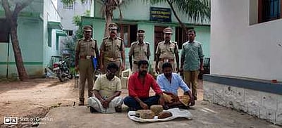 மதுரையில் ரூ.10 கோடி மதிப்பு திமிங்கில எச்சம் பதுக்கல்: 3 போ் கைது