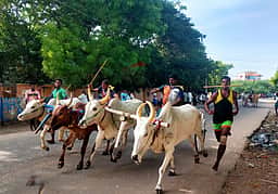 சின்ன கீரமங்கலத்தில் மாட்டு வண்டி பந்தயம்