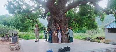 அமைதியின் சின்னமாக திகழும் 150 ஆண்டு வேப்பமரம்: பராமரித்து பாதுகாத்து வரும் கிராம மக்கள்!