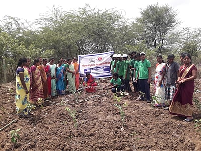 பறவைகளுக்கான குறுங்காடு அமைப்பு