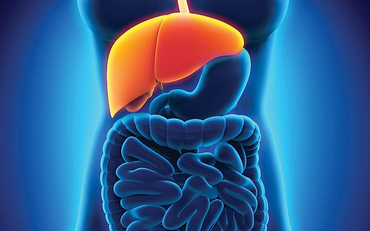 ஆயுள் காக்கும் ஆயுர்வேதம்: உடல் உபாதை குணமடைவது எப்படி?