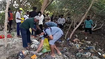 சதுப்பு நிலக் காடுகளில் நெகிழிக் குப்பைகள் அகற்றம்
