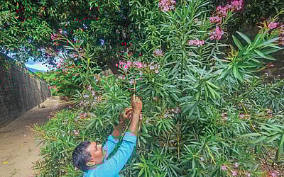 பக்தர்கள் அமைத்த நந்தவனம்