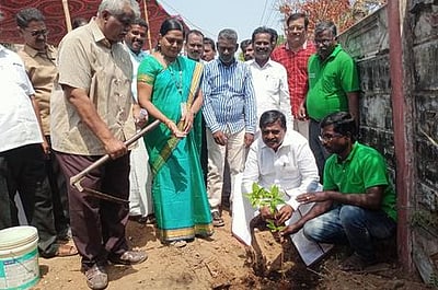 பொறையாரில் மரக்கன்றுகள் நடும் விழா