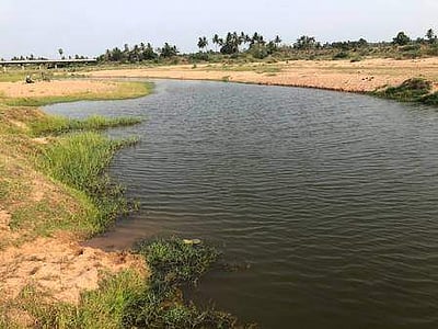 கடலூா் அருகே கெடிலம் ஆற்றில் மூழ்கி 5 சிறுமிகள் உள்பட 7 போ் பலி