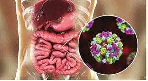 கரோனாவைத் தொடர்ந்து அச்சமூட்டும் புதிய நோய்: கேரளத்திடம் அறிக்கை கேட்கும் மத்திய அரசு