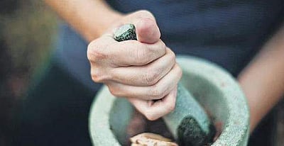 நோய் எதிர்ப்பு சக்தியை அதிகரிக்கும் 7 மூலிகைகள்