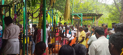 சேலம்: மேட்டூர் வனப்பகுதியில் கிடா விருந்து