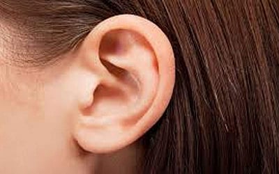 செவிநுகா் கனிகள்