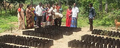 முருங்கை செடிகள் வளா்ப்பு நா்சரி தொடக்கம்