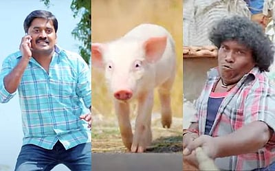 வெளியானது யோகி பாபுவின் பன்னி குட்டி டிரெய்லர்