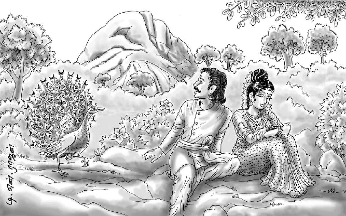 களவாடிய புள்ளி மயில்...