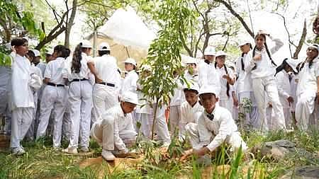 தில்லி அரசின் இருவார மெகா மரக்கன்று நடும் திட்டம் தொடக்கம்