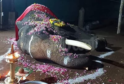 பூரம் விழாவின் கதாநாயகன் பாரமேகாவு ஸ்ரீ பத்மநாபன் யானை மரணம்