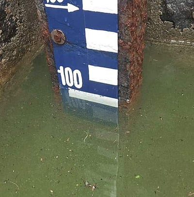 மேட்டூர் அணையின் நீர்மட்டம் 100 அடியை எட்டியது!